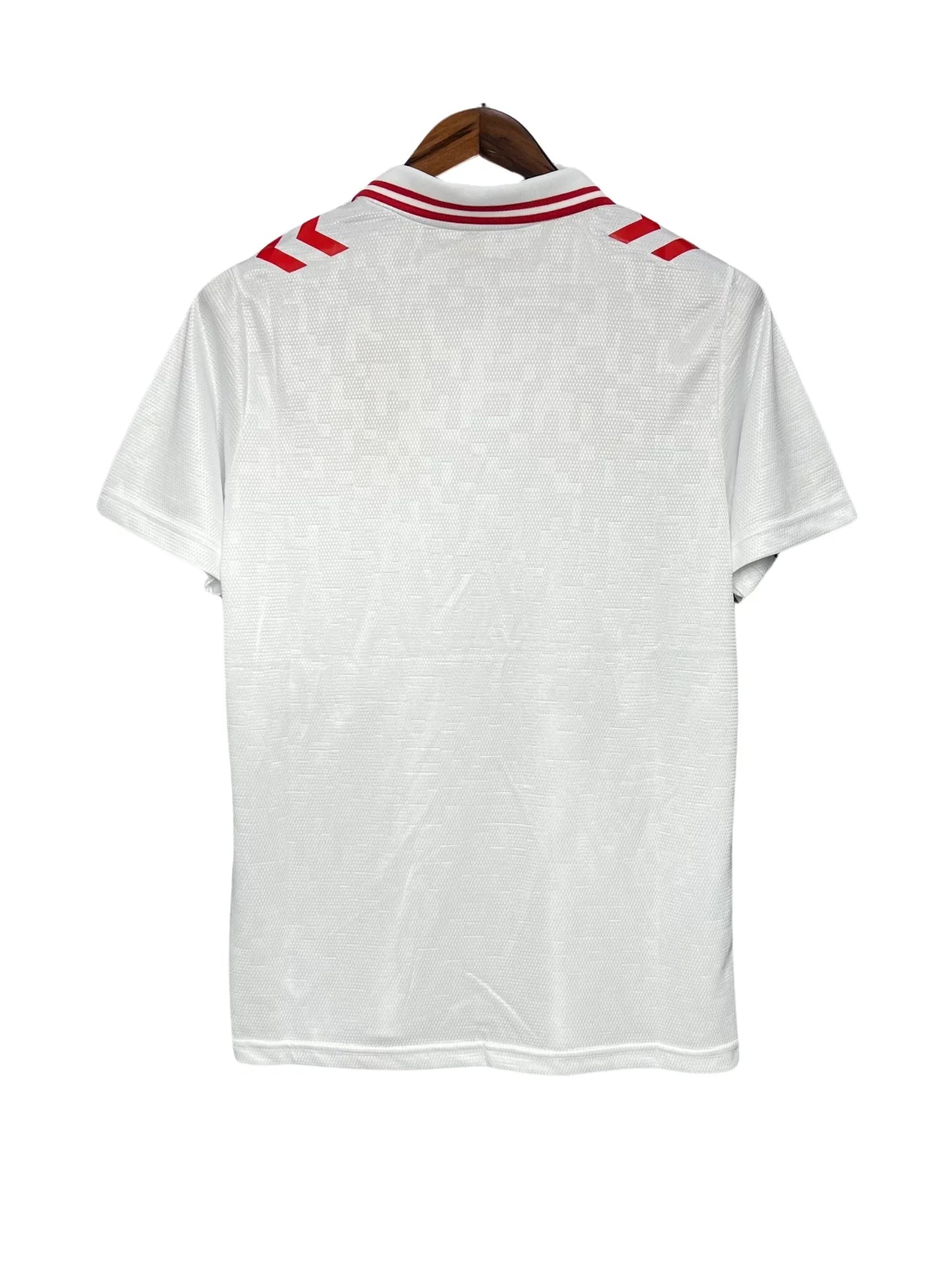 Denmark Euro II 2024 - Fan Version