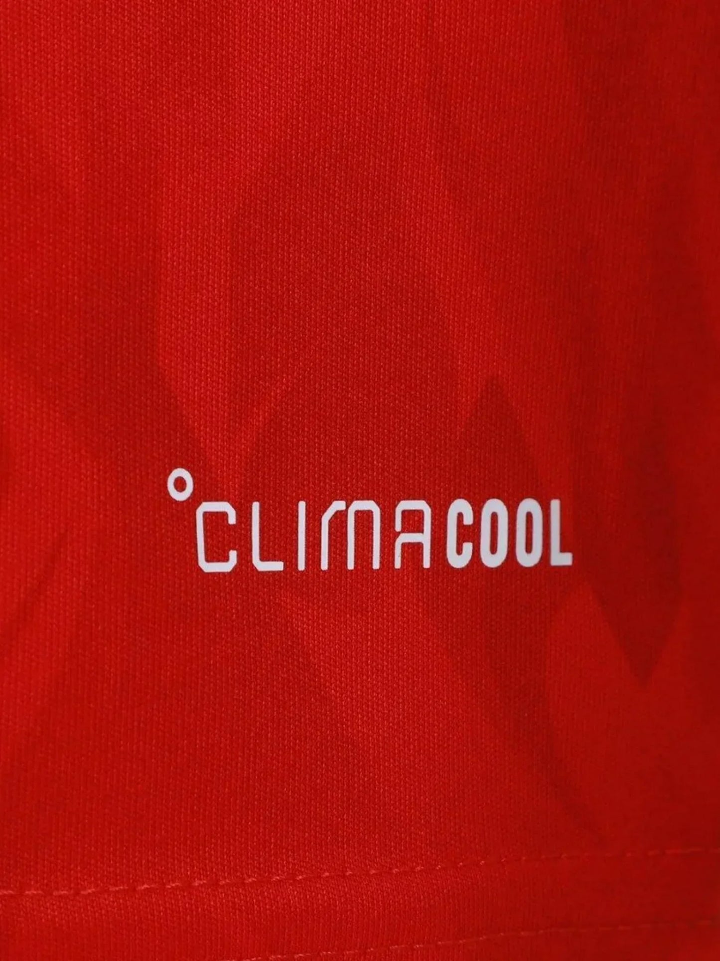 Belgium I Home World Cup 2026 Jersey - Fan Version