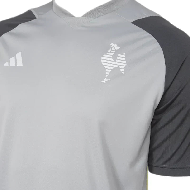 Athletico Mineiro Training